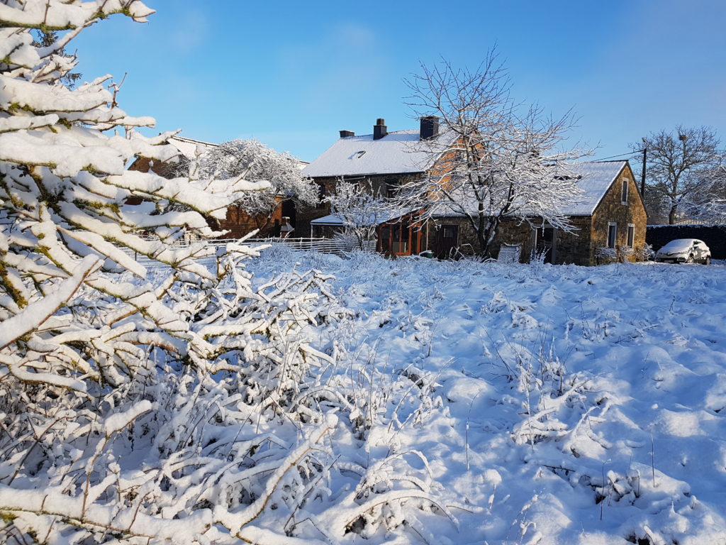 L’attribut alt de cette image est vide, son nom de fichier est jardin-neige-2-1024x768.jpg.